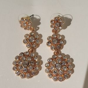 Sparkling Earrings